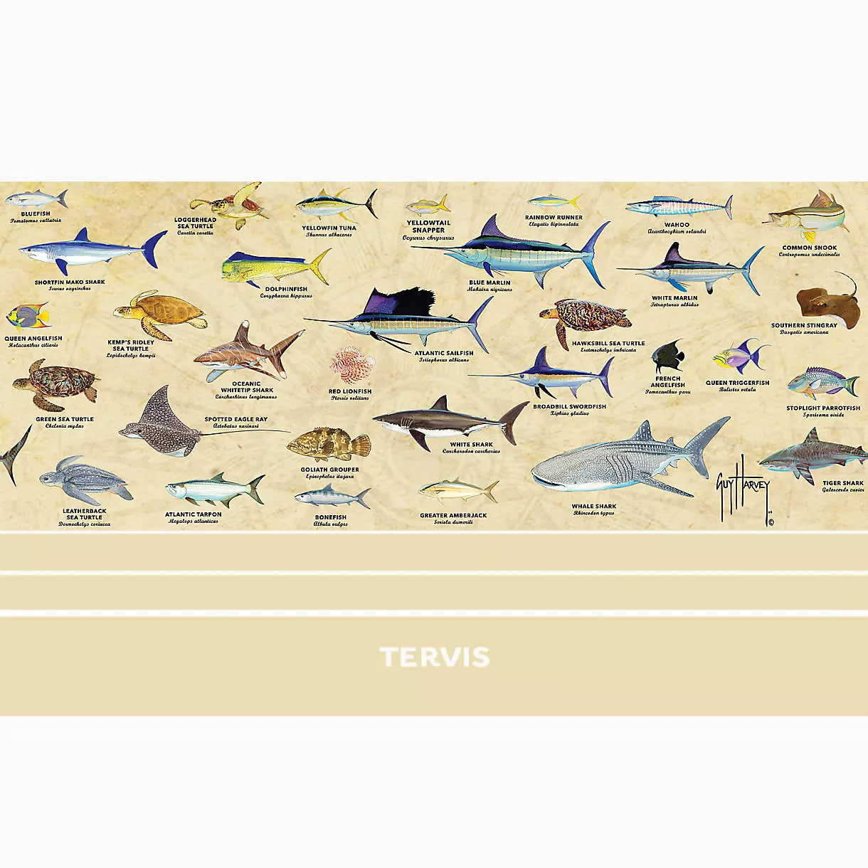 Guy Harvey Fish Chart Tumbler 30oz | Tervis