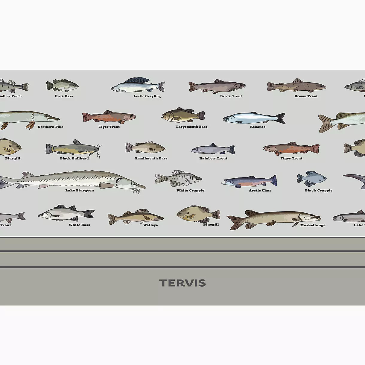 Fish - School ID 30 OZ Tumbler | Tervis