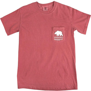 Black Lab Short Sleeve Washed Red Tee