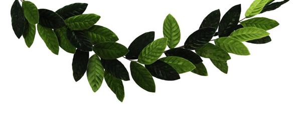 Velvet Magnolia Leaf Garland