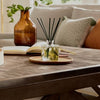 Frasier Fir Reed Diffuser | Thymes