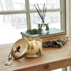 Frasier Fir Reed Diffuser | Thymes