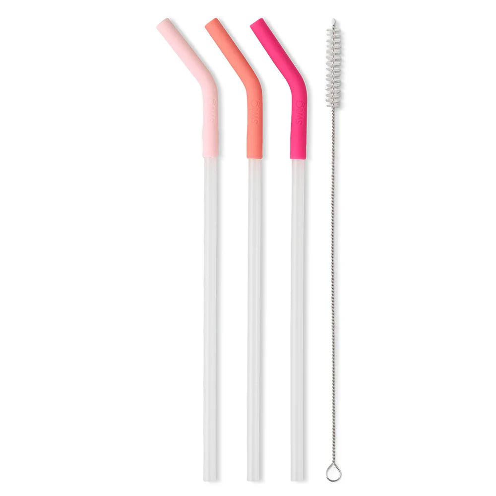 Mega Mug Reusable Straw Set