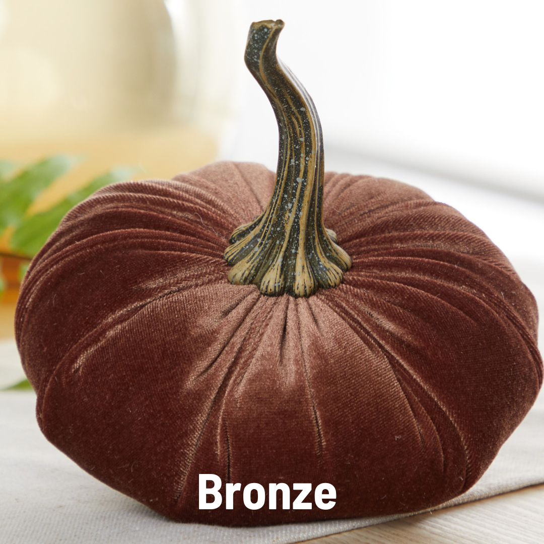 Bronze Velvet Pumpkin