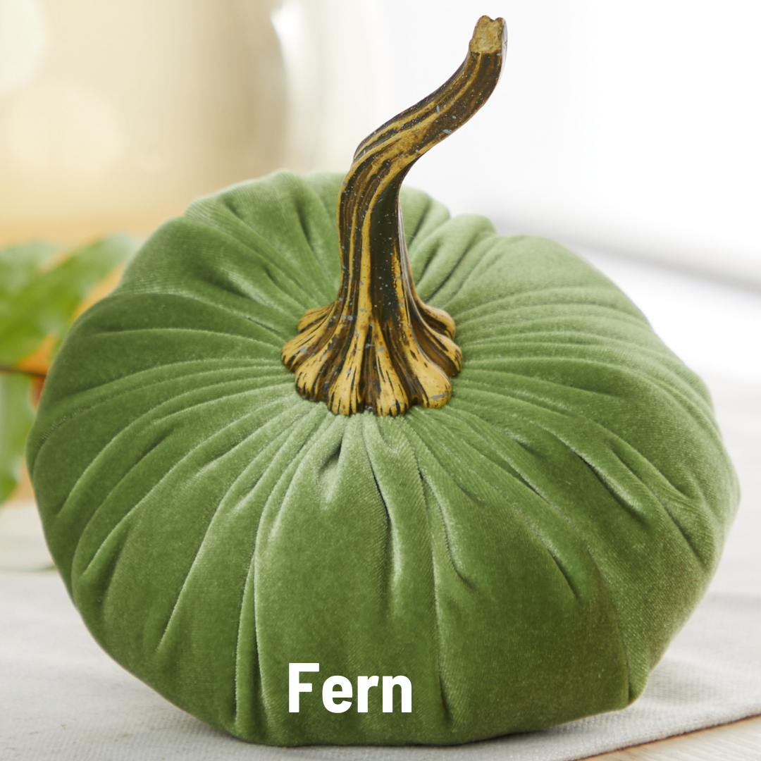 Large Fern Velvet Pumpkin