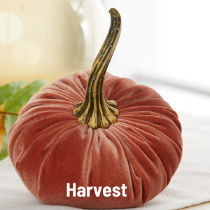 Harvest Large Velvet Pumpkin