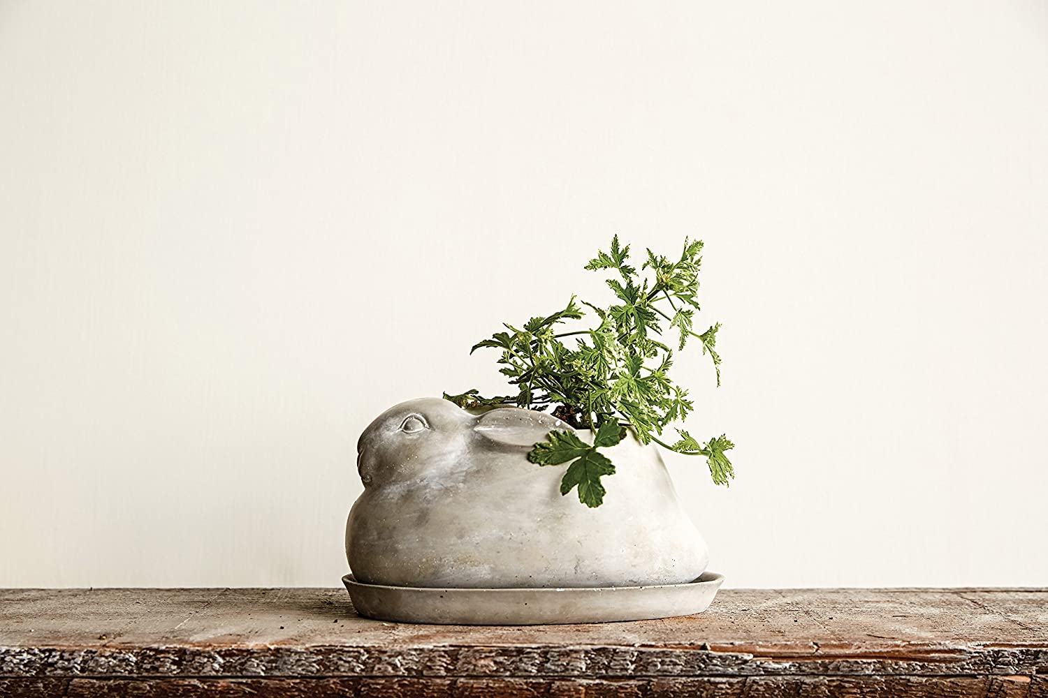 Cement Rabbit Planter with Saucer